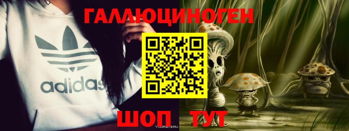 Кольчугино  Галлюциногенные грибы Cubensis  Вход с VPN 
