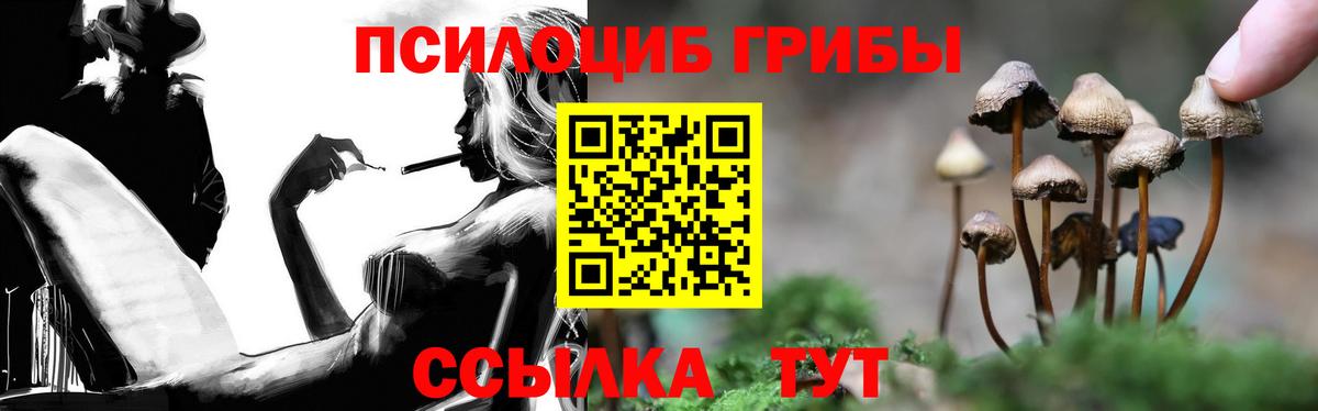 Псилоцибиновые грибы Cubensis Кольчугино