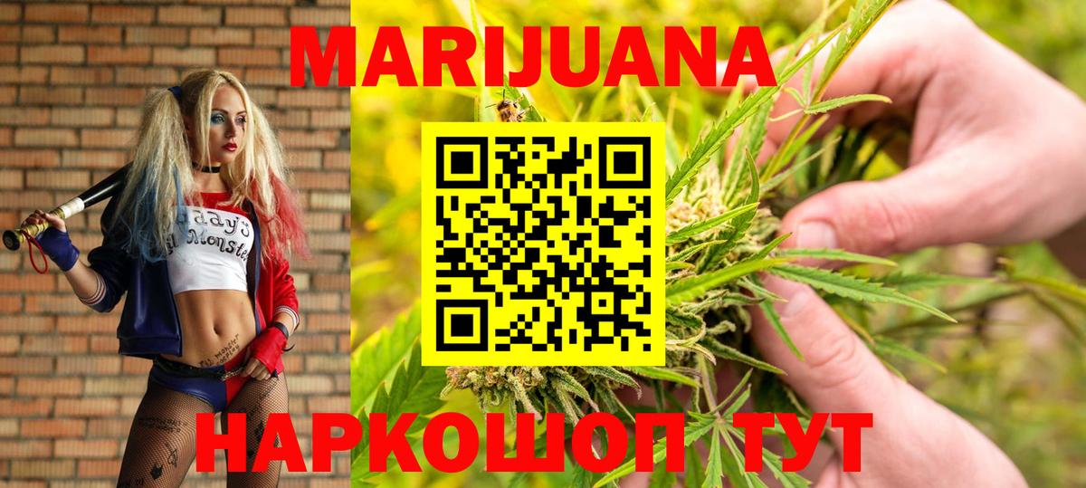 Каннабис ГИДРОПОН Кольчугино